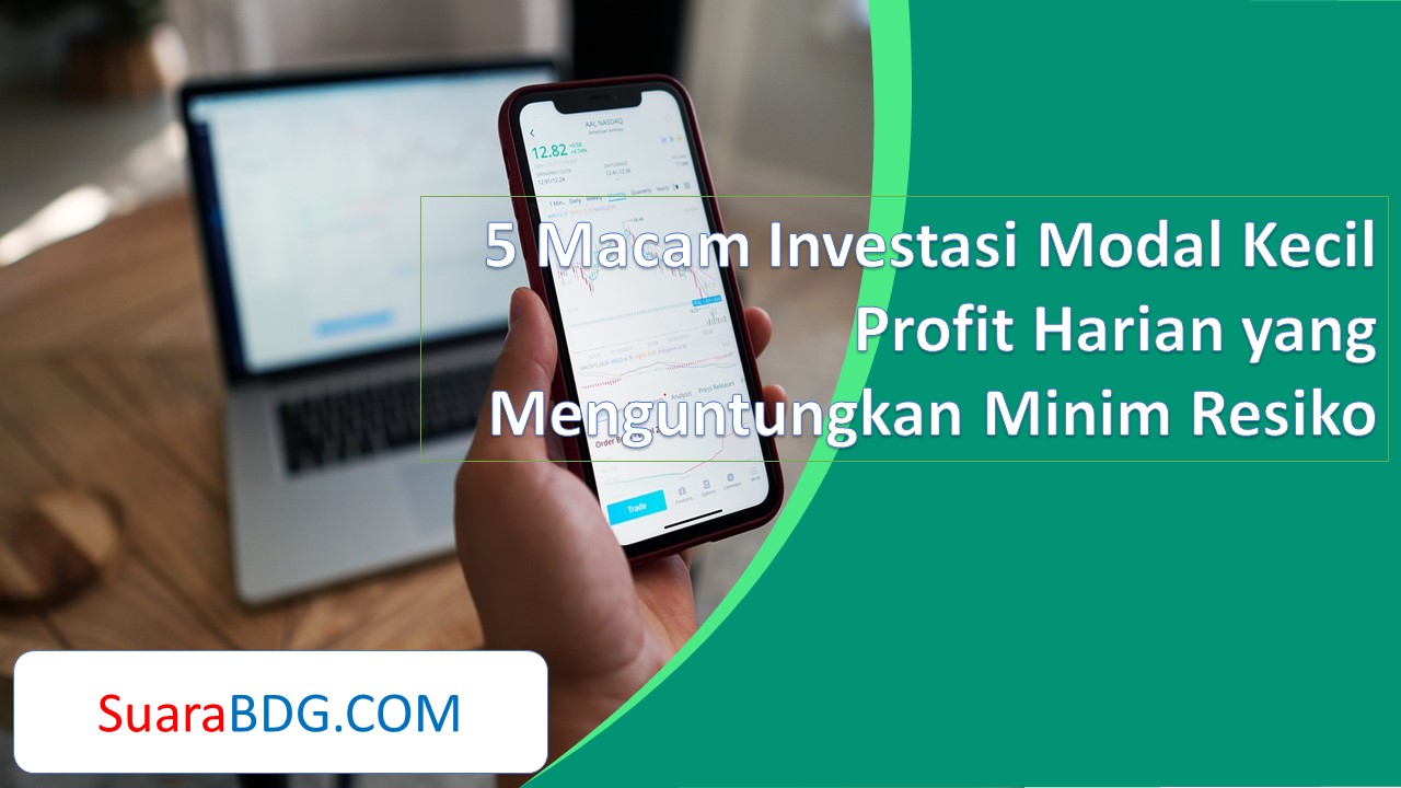 5 Macam Investasi Modal Kecil Profit Harian yang Menguntungkan Minim