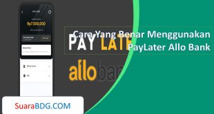 Cara Yang Benar Menggunakan PayLater Allo Bank