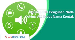INSTALL APK Pengubah Nada Dering WA Sebut Nama Kontak