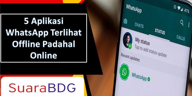 Aplikasi WhatsApp Terlihat Offline Padahal Online